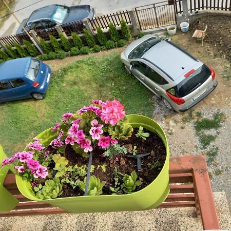 Apartmants Djekovi Ohri Dış mekan fotoğraf
