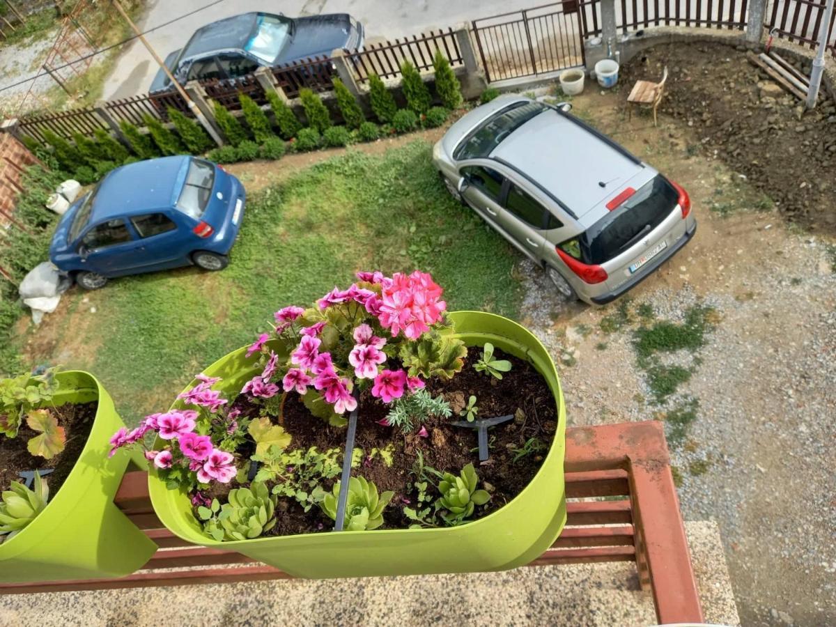 Apartmants Djekovi Ohri Dış mekan fotoğraf